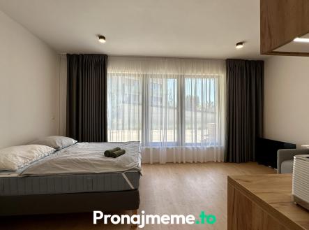 Pronájem bytu, 1+kk, 58 m²