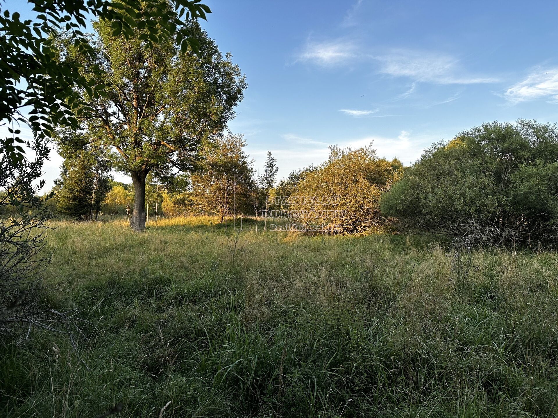 Prodej stavebního pozemku 1713 m2, Nová Ves, okr. Sokolov