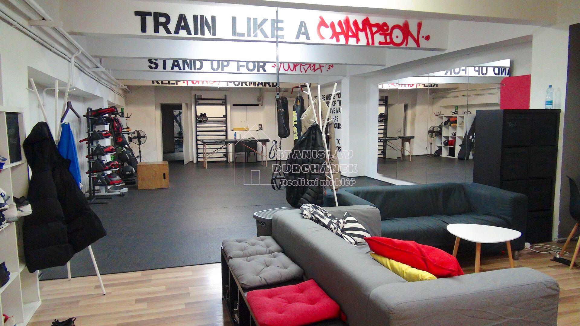 Pronájem posilovny, tělocvičny apod., 358 m2, Praha 8-Karlín, ul. Pernerova