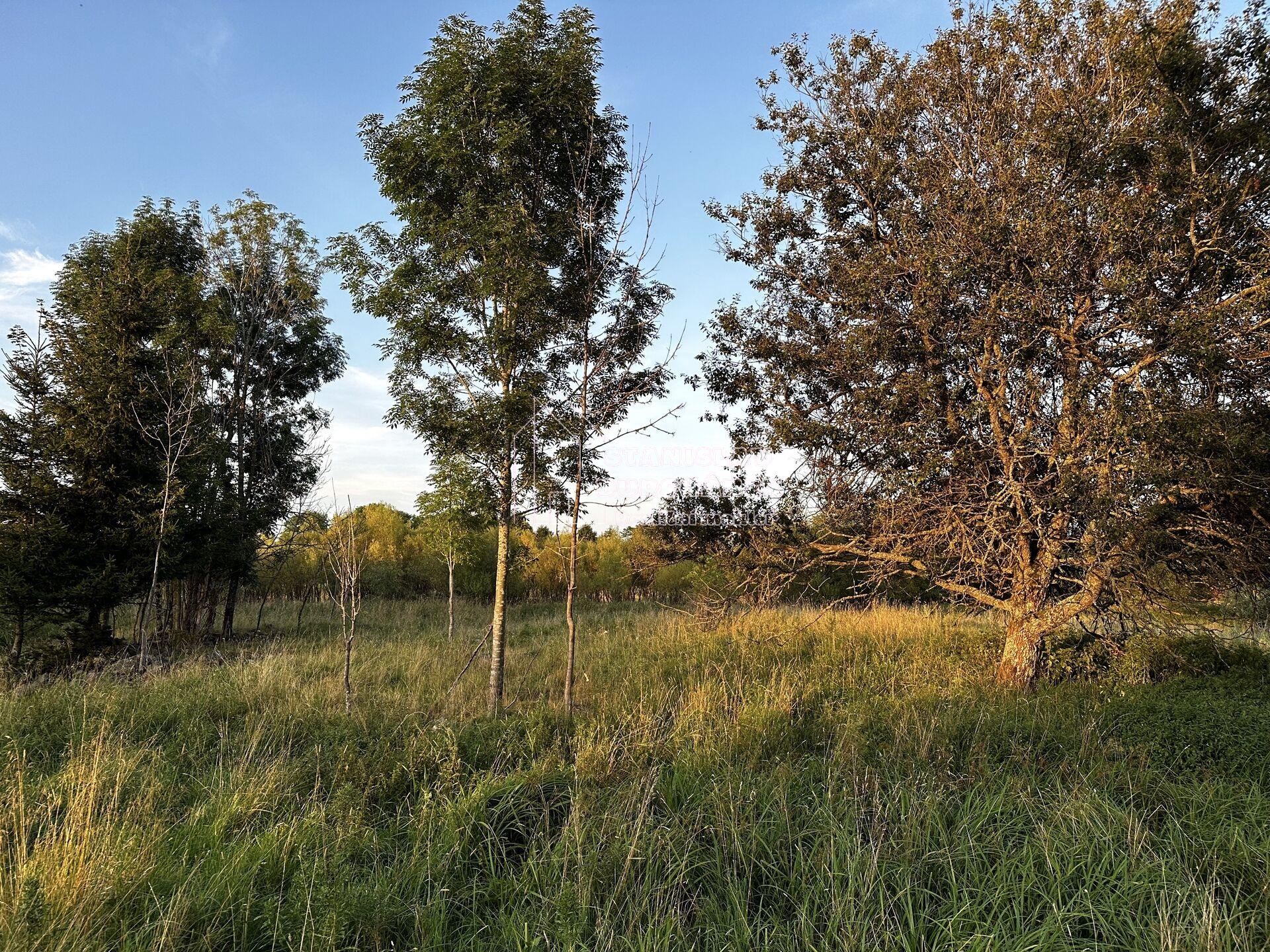 Prodej stavebního pozemku 1 713 m2, Nová Ves, okr. Sokolov