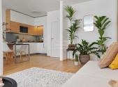 Pronájem bytu, 1+kk, 42 m²