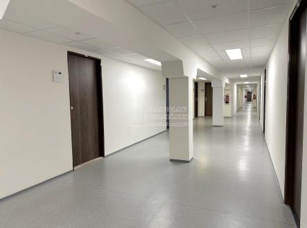Pronájem kanceláře, 16 m²