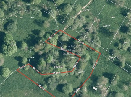 Prodej stavebního pozemku 4929 m2, Nová Ves, okres Sokolov