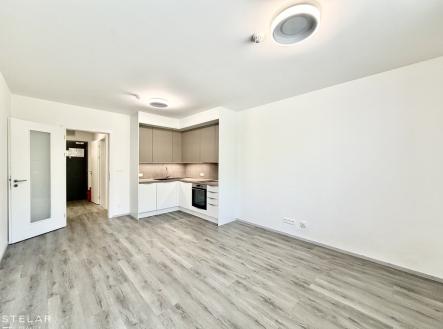 Prodej bytu, 1+kk, 33 m² obrázek