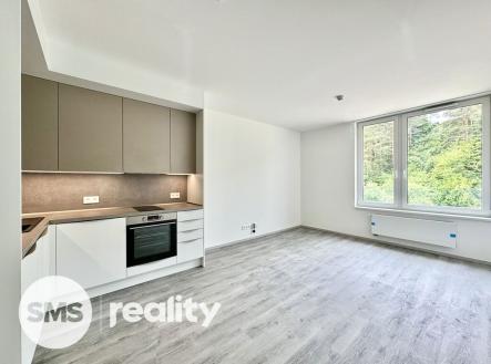 Pronájem bytu, 1+kk, 33 m² obrázek