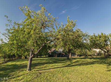 Prodej pozemku pro bydlení, 2 047 m²