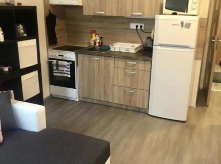 Pronájem bytu, 1+kk, 27 m²