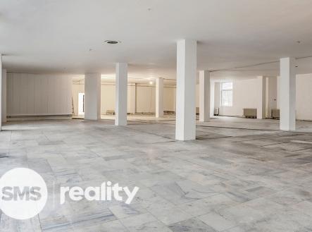Pronájem obchodní prostor, 691 m² obrázek