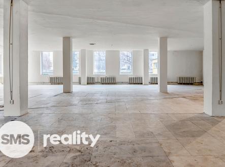 Pronájem obchodní prostor, 691 m²