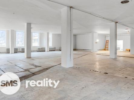 Pronájem obchodní prostor, 691 m²