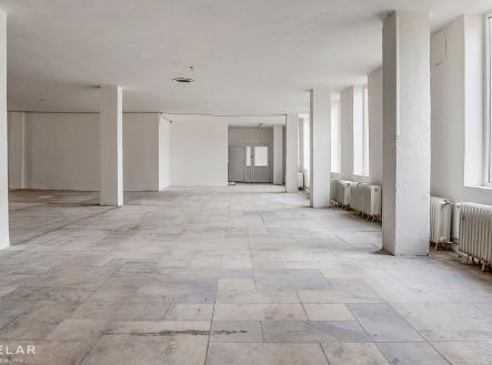 Pronájem obchodní prostory, 691 m²