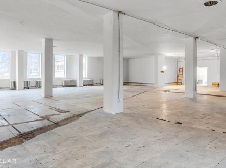 Pronájem obchodní prostory, 691 m²