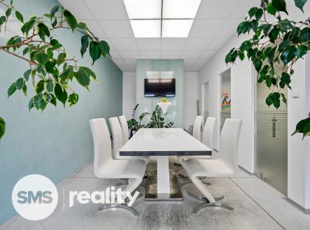 Pronájem obchodní prostor, 300 m²