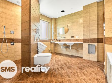 Prodej domu/vily, 390 m²