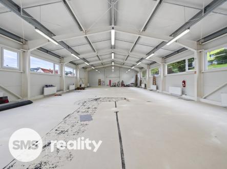 Pronájem obchodní prostor, 293 m²