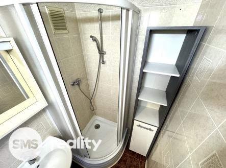 Prodej bytu, 1+kk, 41 m²