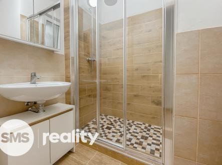 Pronájem bytu, 2+kk, 409 m²