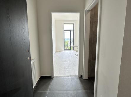 Pronájem bytu, 1+kk, 26 m²