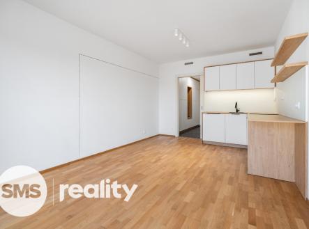 Pronájem bytu, 1+kk, 13 671 m²