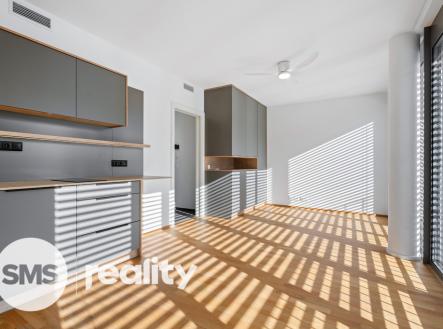 Pronájem bytu, 1+kk, 13 671 m²