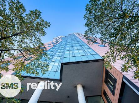 Pronájem bytu, atypický, 332 m²