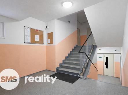 20260217-1355-shadow-free-stairwell-remix-01khntp32nek0ba5fby8et85wz.png