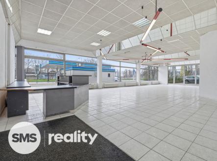 Pronájem obchodní prostor, 253 m²