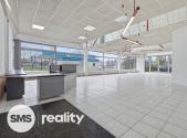 Pronájem obchodní prostor, 253 m²