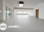 Pronájem obchodní prostory, 167 m²