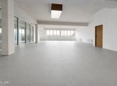 Pronájem obchodní prostory, 167 m²