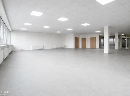 Pronájem obchodní prostory, 167 m²