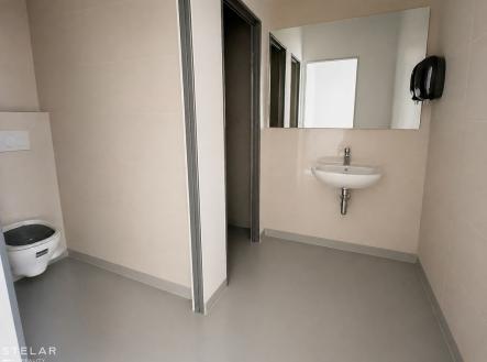 Pronájem obchodní prostory, 113 m²