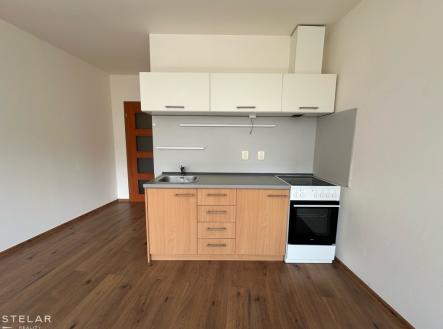 Pronájem bytu, 1+kk, 33 m²