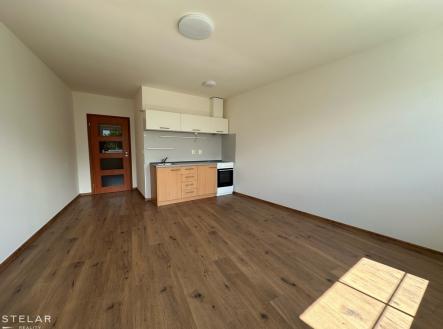 Pronájem bytu, 1+kk, 33 m²