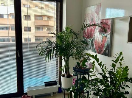 Pronájem bytu, 2+kk, 52 m²