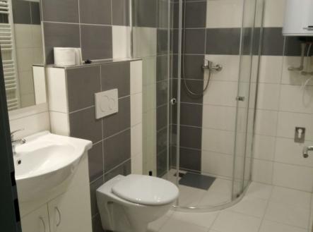 Pronájem bytu, 1+1, 25 m²
