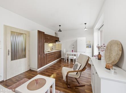 Prodej bytu, 1+kk, 29 m²