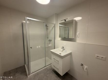 Pronájem bytu, 3+kk, 71 m²