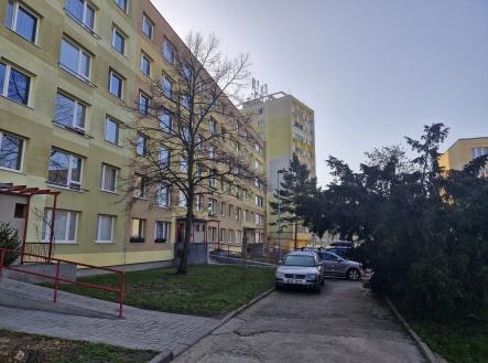 20260306_092205
