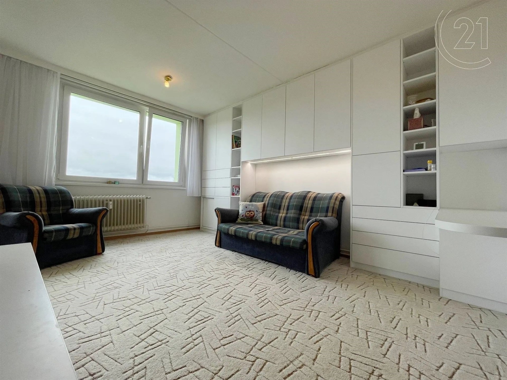 obývací pokoj s radiátor, koberec, přirozené světlo, a vestavěné v policích