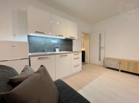 Pronájem bytu, 1+kk, 28 m²