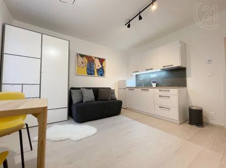 Pronájem bytu, 1+kk, 28 m²