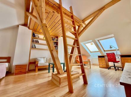 Prodej bytu, 4+1, 237 m²