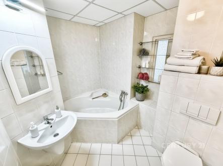 Prodej bytu, 4+1, 237 m²