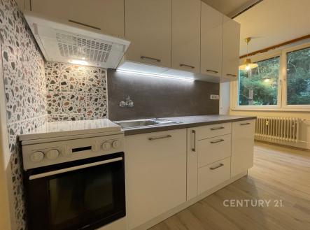 Pronájem bytu, 2+1, 52 m² obrázek