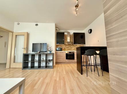 Prodej bytu, 2+kk, 40 m²