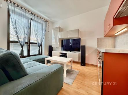 Pronájem bytu, 1+kk, 31 m²