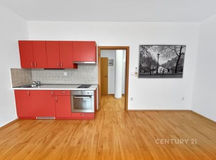 Pronájem bytu, 1+kk, 31 m²