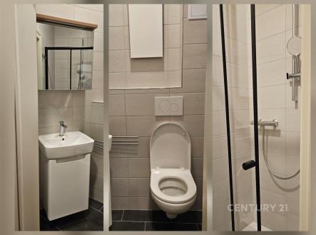 Pronájem bytu, 1+kk, 20 m²