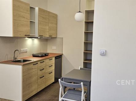 Pronájem bytu, 1+kk, 20 m²